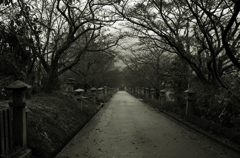 Rainy day nobody