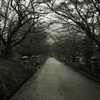 Rainy day nobody