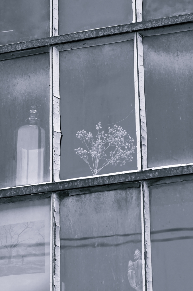 Window of Reminiscent 1