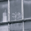Window of Reminiscent 1