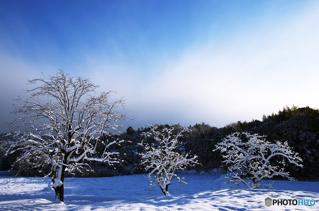 a snowy landscape 4