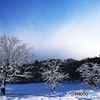 a snowy landscape 4
