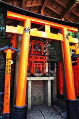 Fushimi-Inari-Taisha Shrine 8
