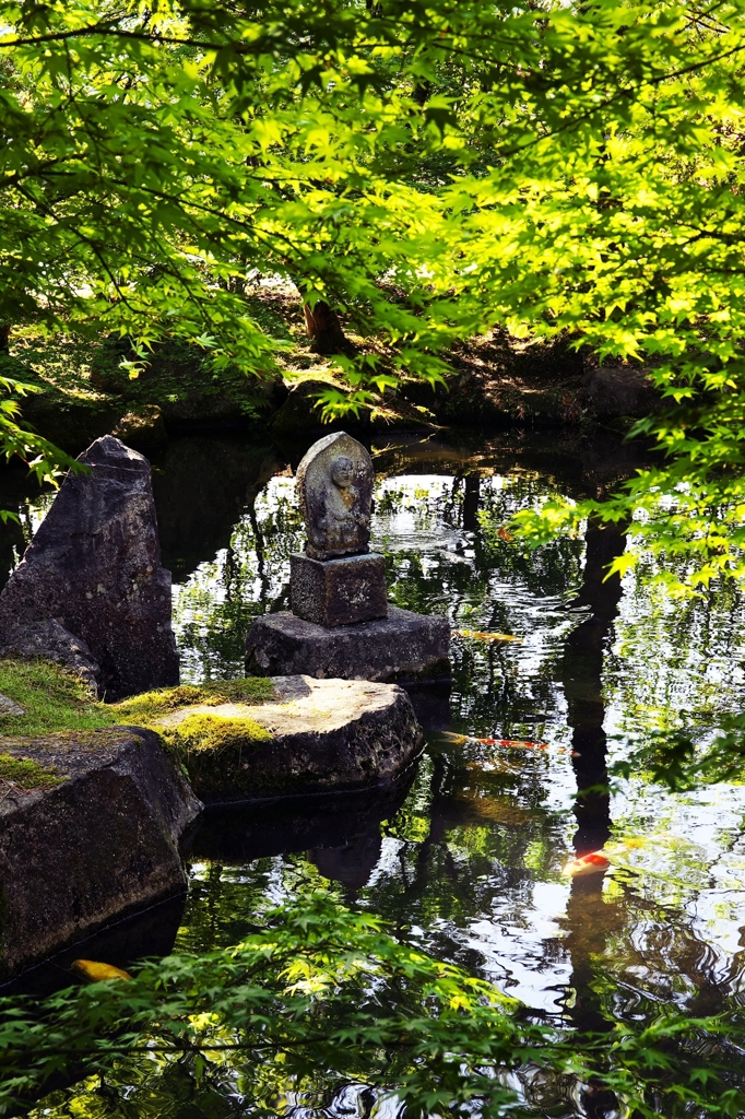 Japanese garden of the fresh green 5