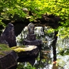 Japanese garden of the fresh green 5