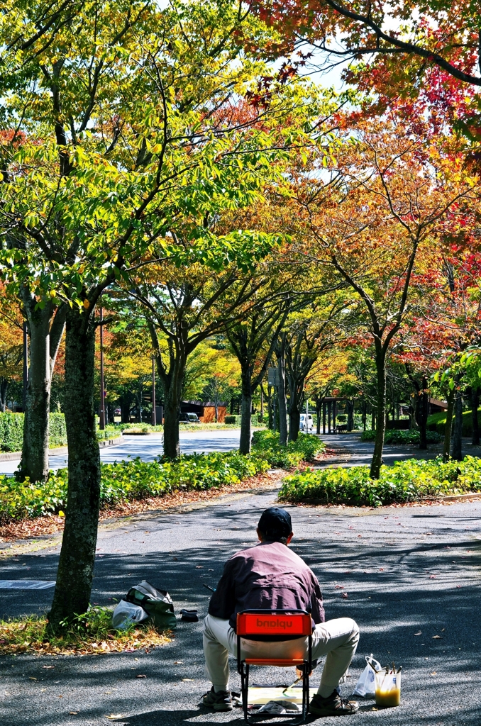 The scenery which he draws