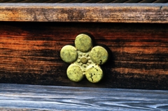 Symbol