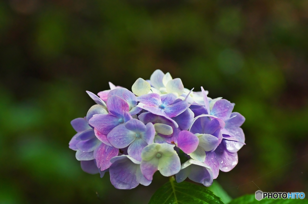 Pastel color 2