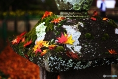 At an old temple of the autumn colors 3
