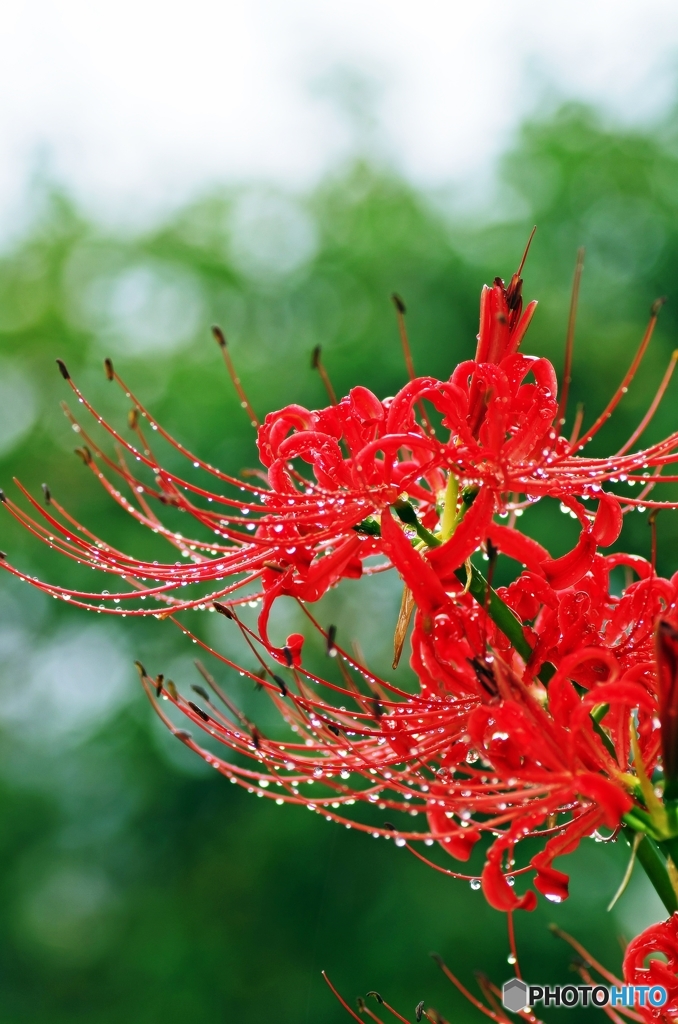 A rainy Sunday 6