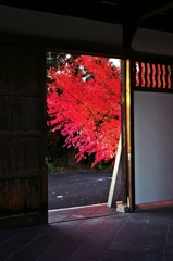 Door of the autumnal scenery