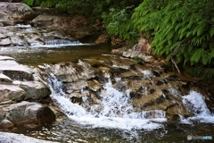 Mountain stream 4