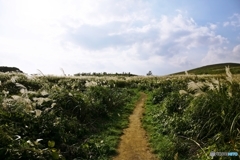 The wilderness of the late autumn 2