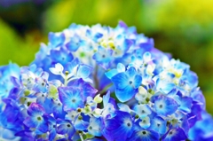 Kind of Blue