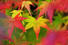 In the changes of the seasons