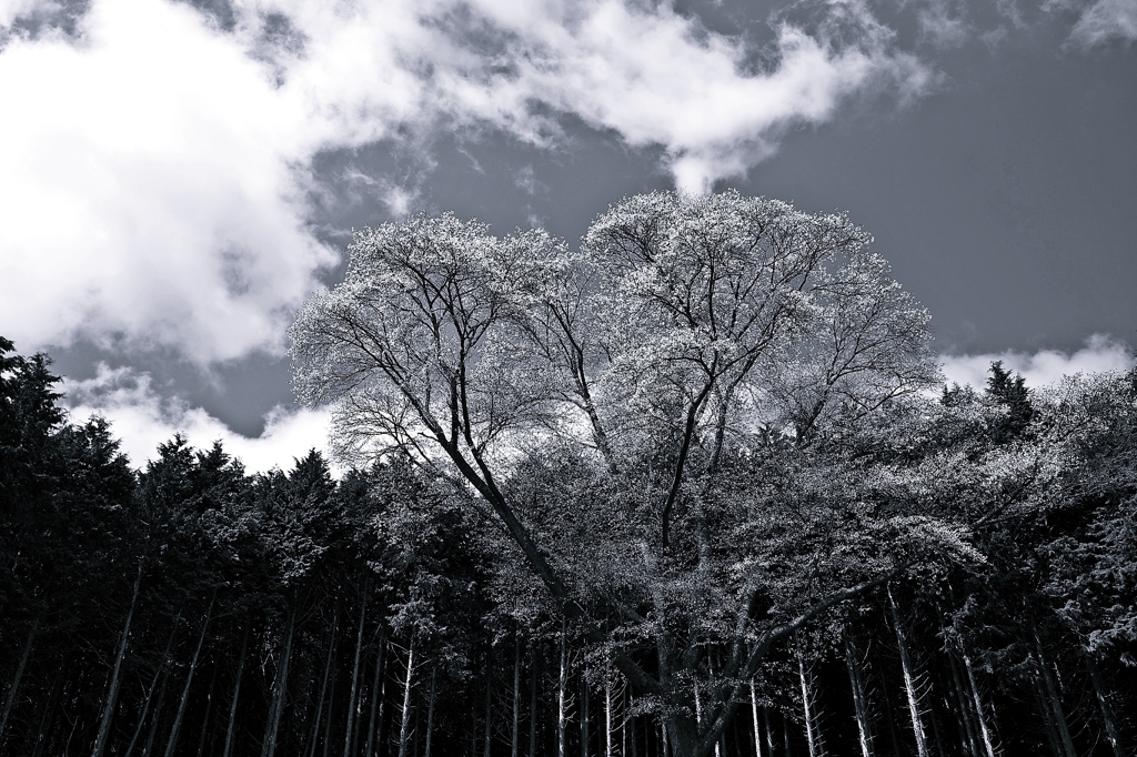 Stand alone 3