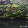 On the morning of early summer 5