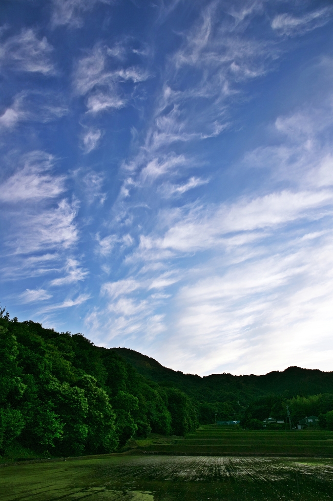 When look back; a blue sky