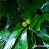 秋雨の日曜日を歩く 6