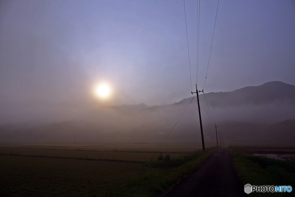On the morning of early summer 2