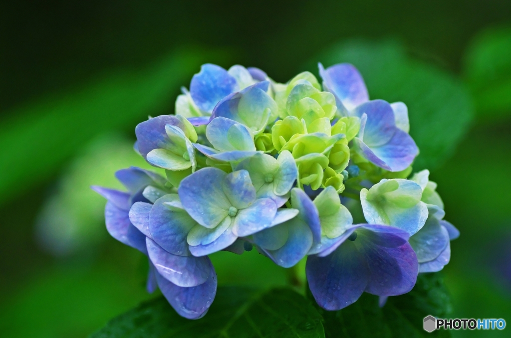 Pastel color 1