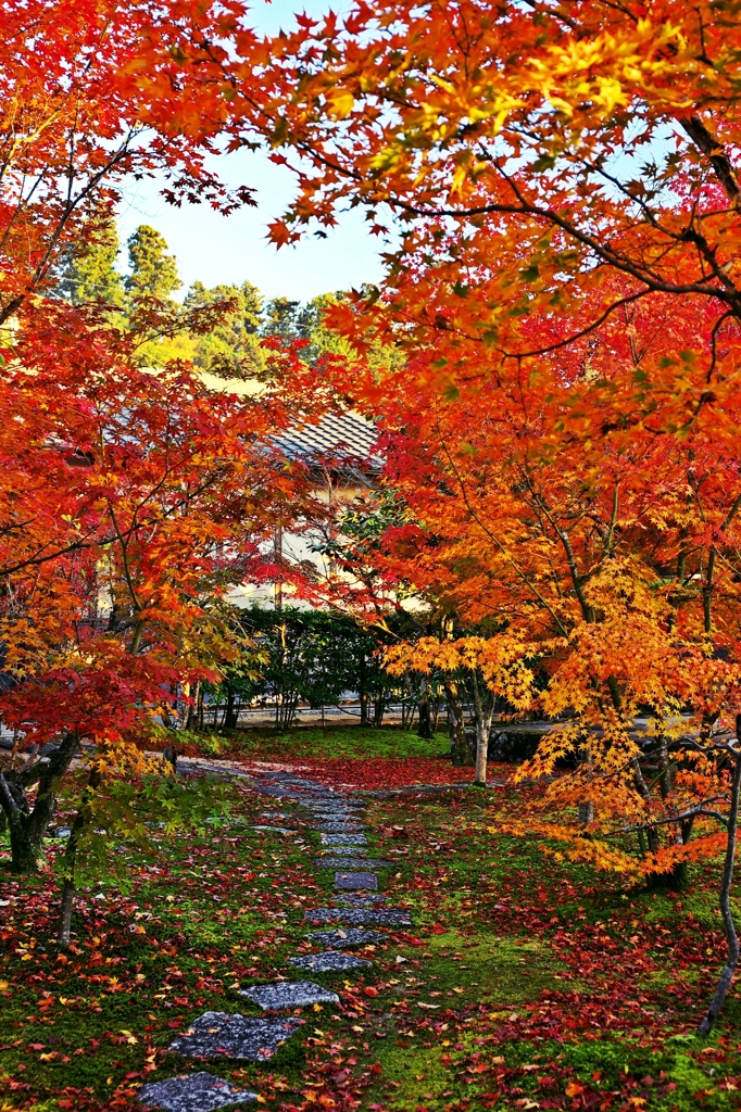 Alley of Japanese brocade   