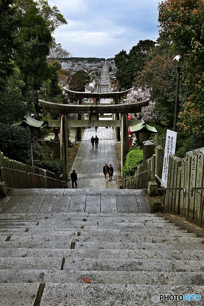 宮地嶽神社・春　その５