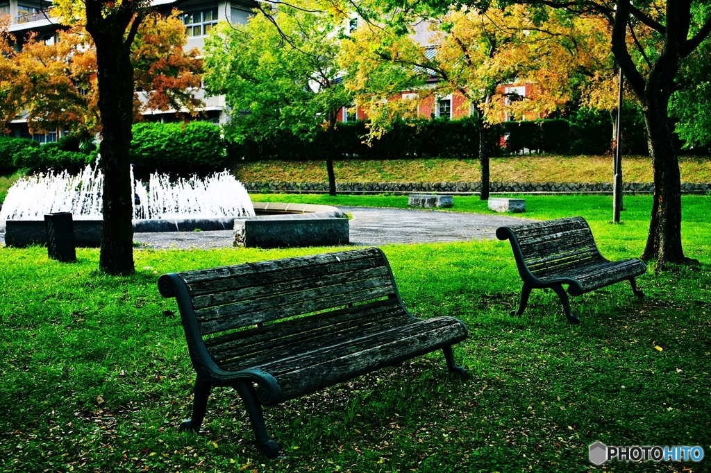 One fall day. In the Park