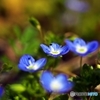 Small spring messenger 2