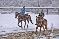 Horse training in the snow 1