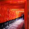 Fushimi-Inari-Taisha Shrine 3