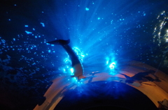 シーパラダイス