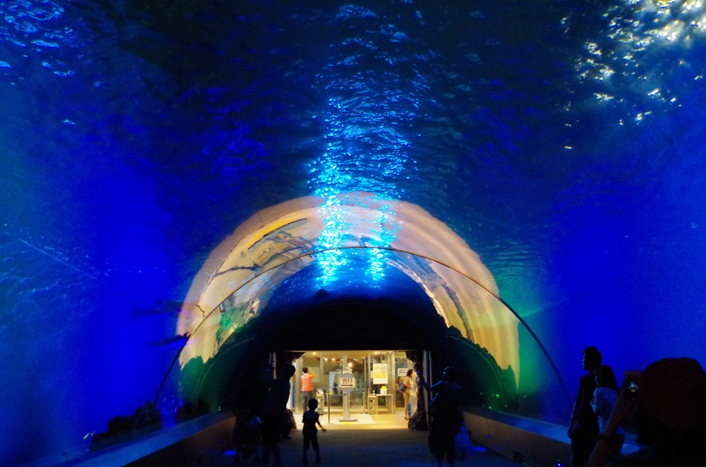 シーパラダイス