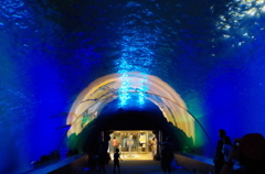 シーパラダイス