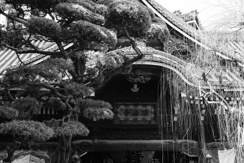 頂法寺（六角堂）（京都市）