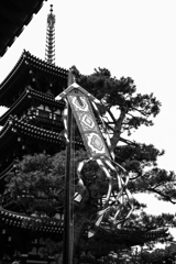 薬師寺・幡（奈良）