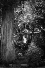 海住山寺三社（京都南山城）