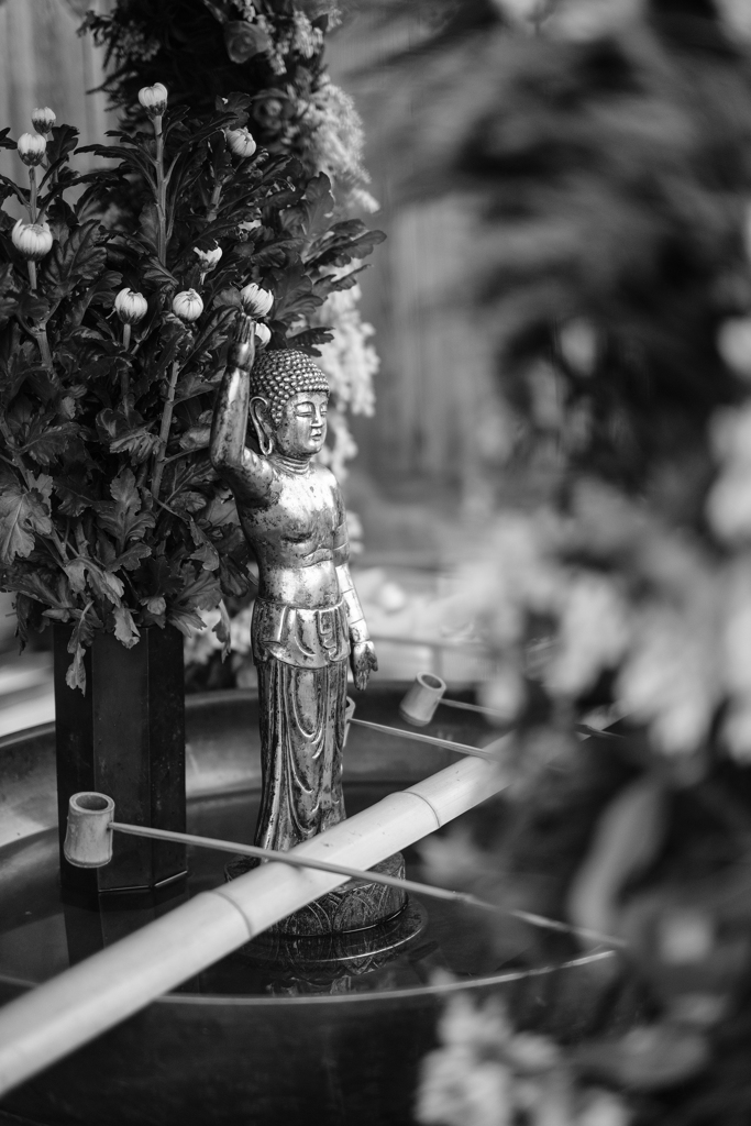 東大寺大仏殿前花御堂（奈良）