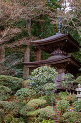 高野山光台院多宝塔（和歌山）