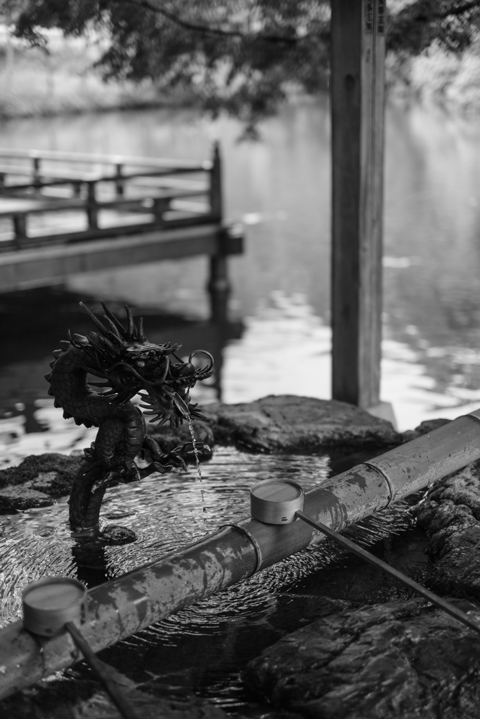 高鴨神社（奈良県御所市）