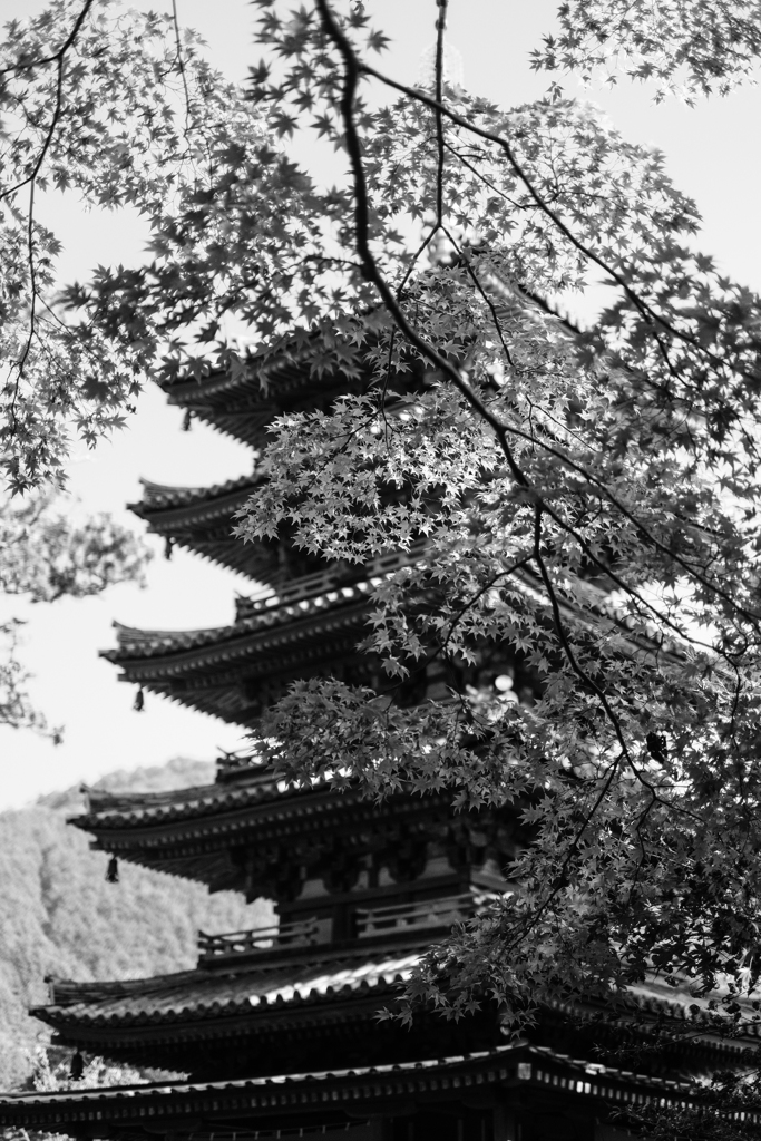 海住山寺五重塔（京都南山城）