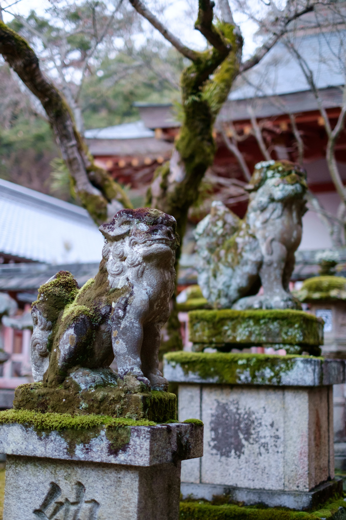 手向山八幡宮（奈良）