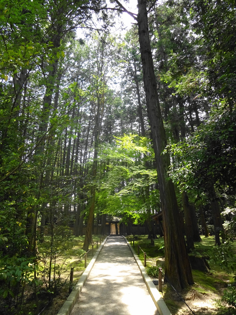 唐招提寺（奈良）