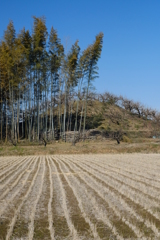 山之辺の道から見えた古墳（奈良）