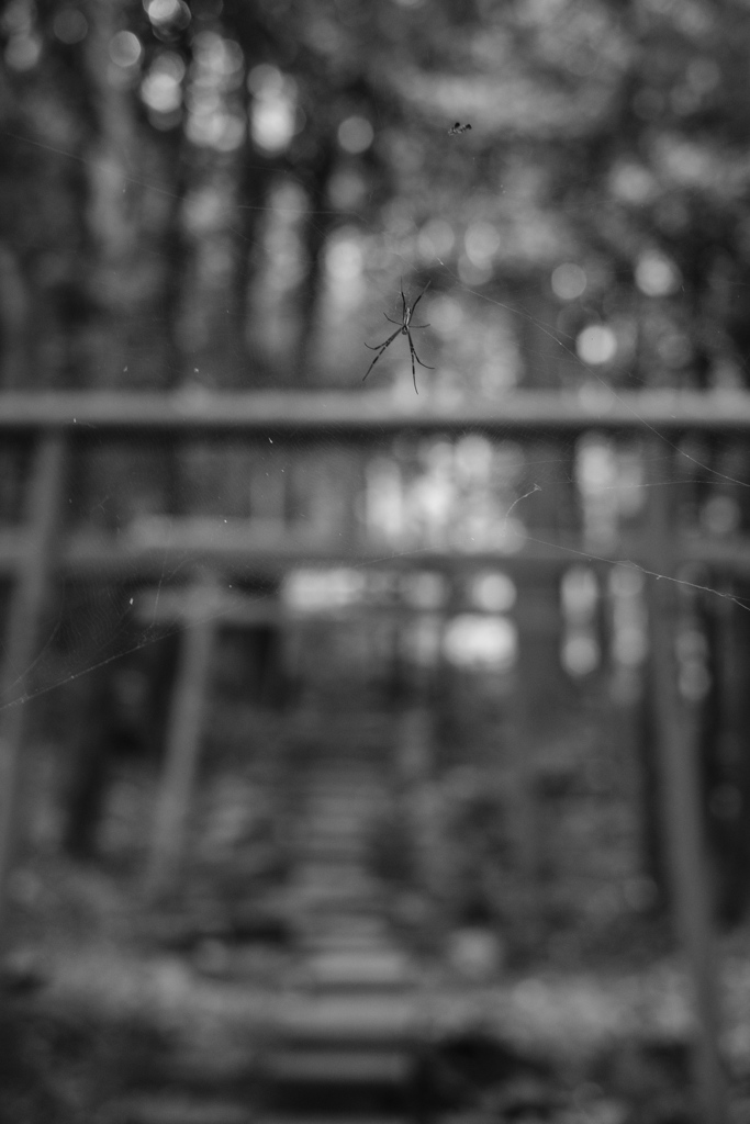 鹿児島神宮稲荷神社参道（鹿児島）