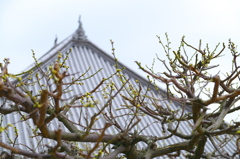 中山寺（兵庫宝塚）