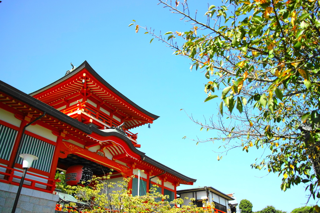 門戸厄神・東光寺（兵庫・西宮）