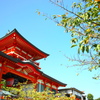 門戸厄神・東光寺（兵庫・西宮）