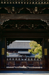 東寺南大門・金堂（京都）