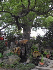 紫金山小松院法楽寺（大阪）